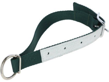 Obojek pro ovce a kozy nylon, zelený
