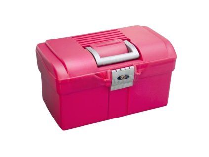 box raspberry 2