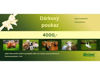Dárková poukázka 4000 Kč