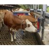 drbadlo eurofarm 3