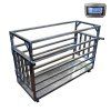 Klecová váha pro ovce, kozy, prasata 150 kg 100g, 60x150 cm