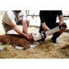 resuscitator bron 2